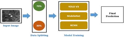 Stroke risk study based on deep learning-based magnetic resonance imaging carotid plaque automatic segmentation algorithm